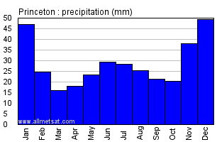 Princeton British Columbia Canada Annual Precipitation Graph