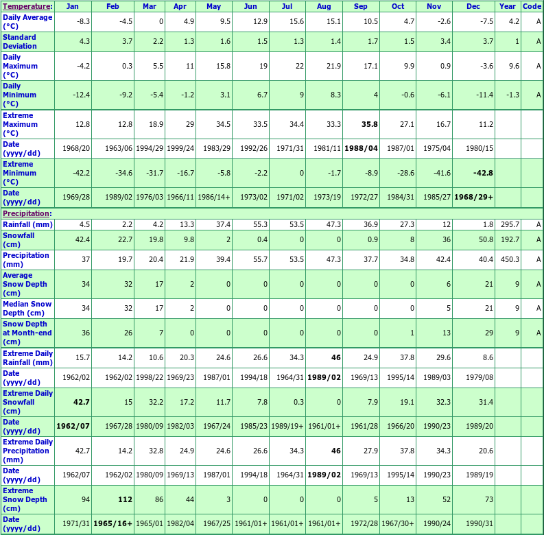 Daily Rainfall Chart