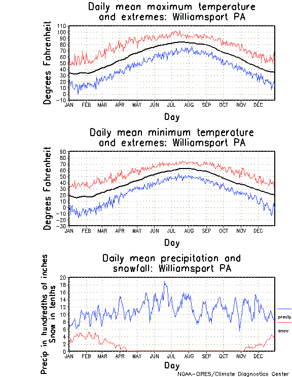 Williamsport, Pennsylvania Annual Temperature Graph
