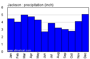 Jackson Michigan Annual Precipitation Graph