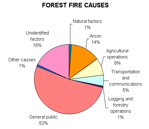 Wild Fire Causes