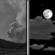 Tonight: Patchy smoke before midnight. Mostly clear, with a low around 72. West wind 10 to 18 mph. 