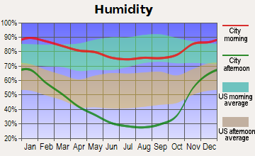 Placerville Average Humidity